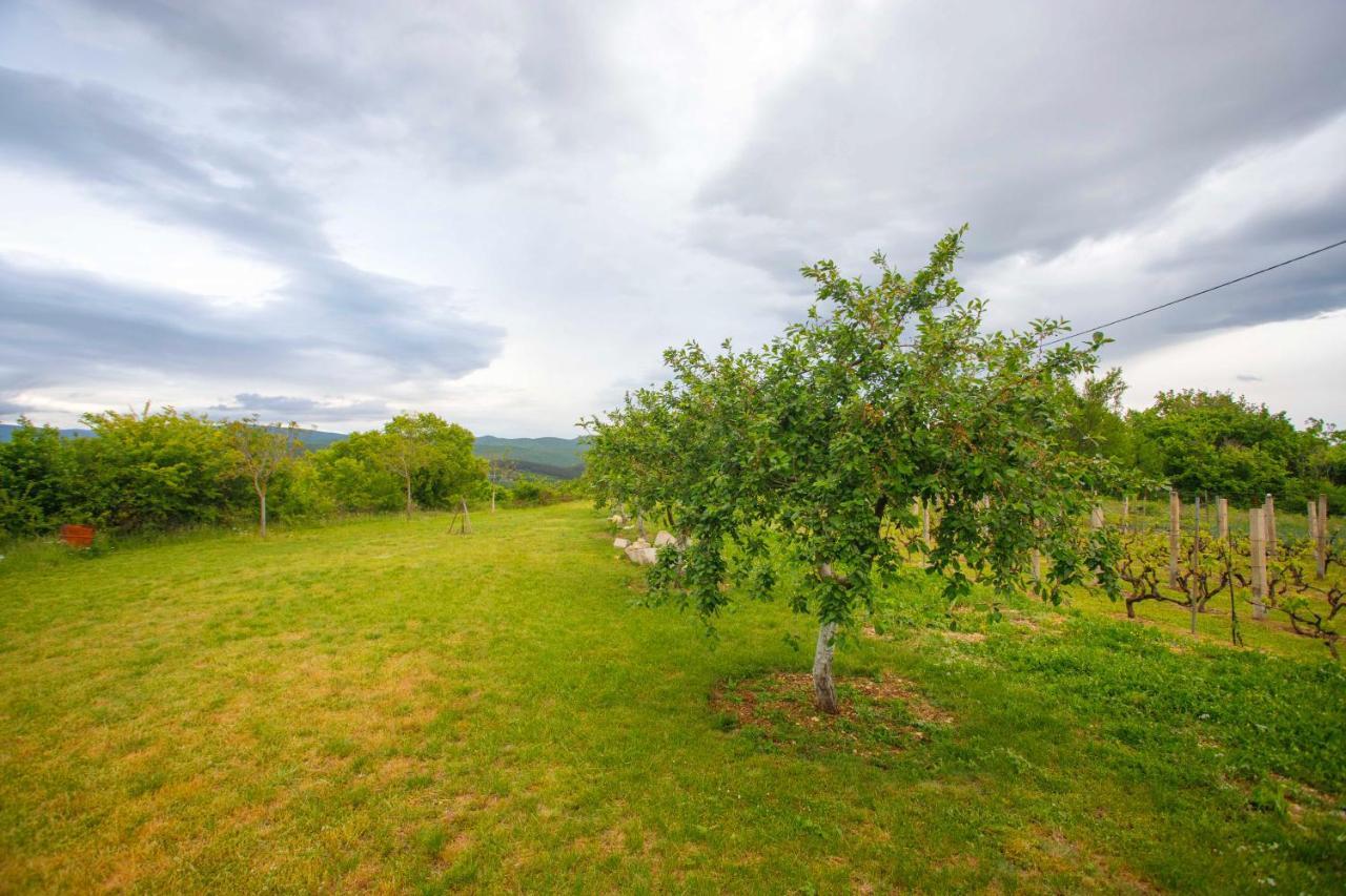 Casa Di Oliva-House With Heated Pool & Jacuzzi In Trilj, Croatia Villa Екстериор снимка