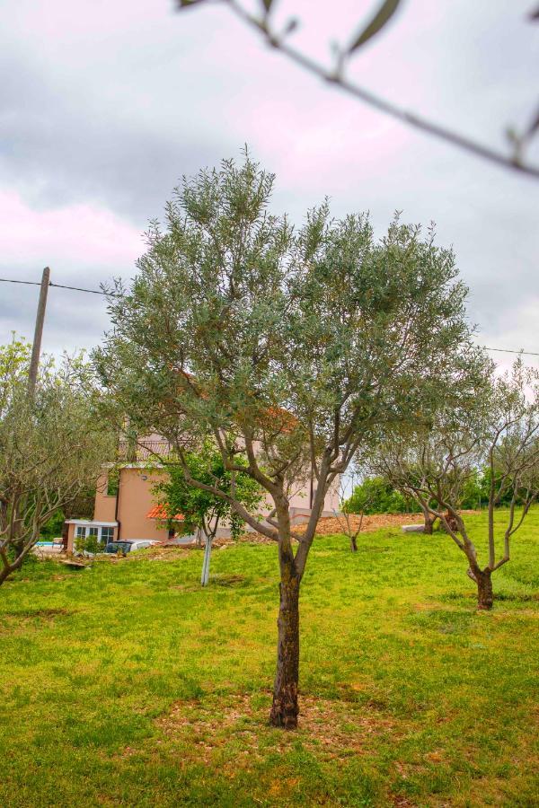 Casa Di Oliva-House With Heated Pool & Jacuzzi In Trilj, Croatia Villa Екстериор снимка