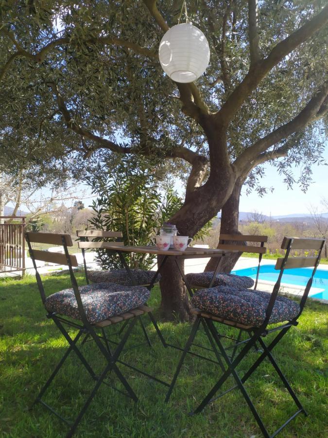 Casa Di Oliva-House With Heated Pool & Jacuzzi In Trilj, Croatia Villa Екстериор снимка